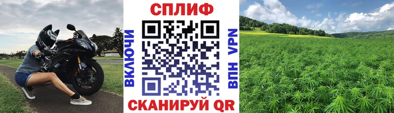 Канабис OG Kush  Ивантеевка 